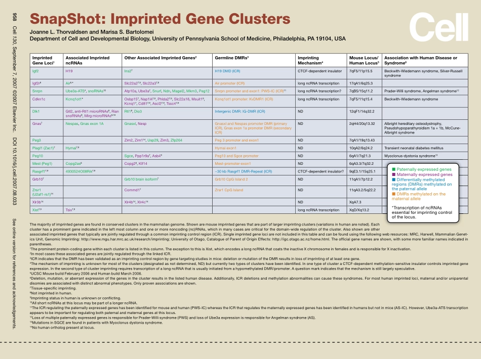 Imprinted Gene Clusters.PDF_第1页