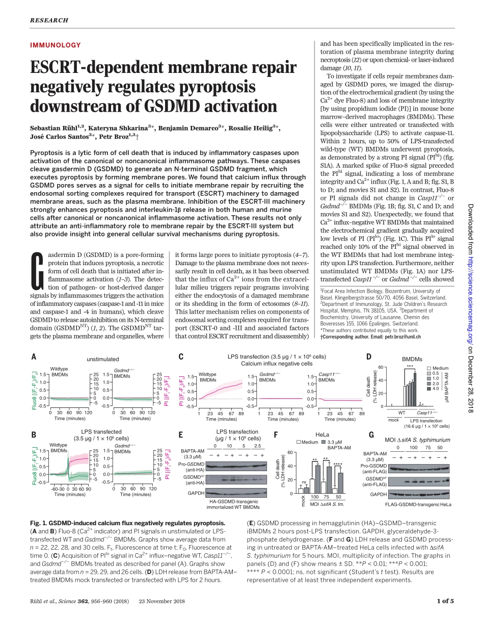 Ruhl-2018-ESCRT依赖性膜修复负调节GSDMD活化下游的细胞焦亡.pdf_第1页
