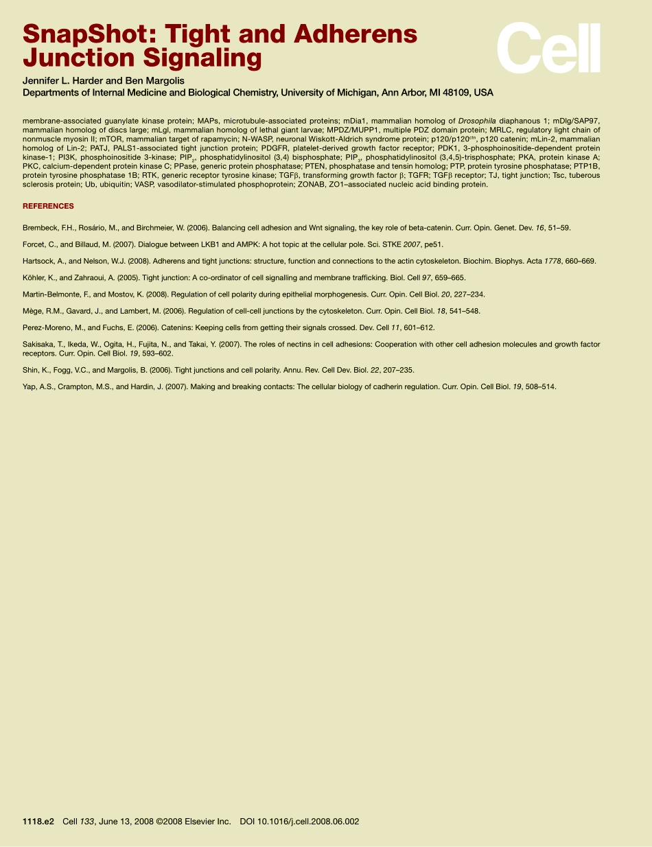 Tight and Adherens Junction Signaling.PDF_第3页