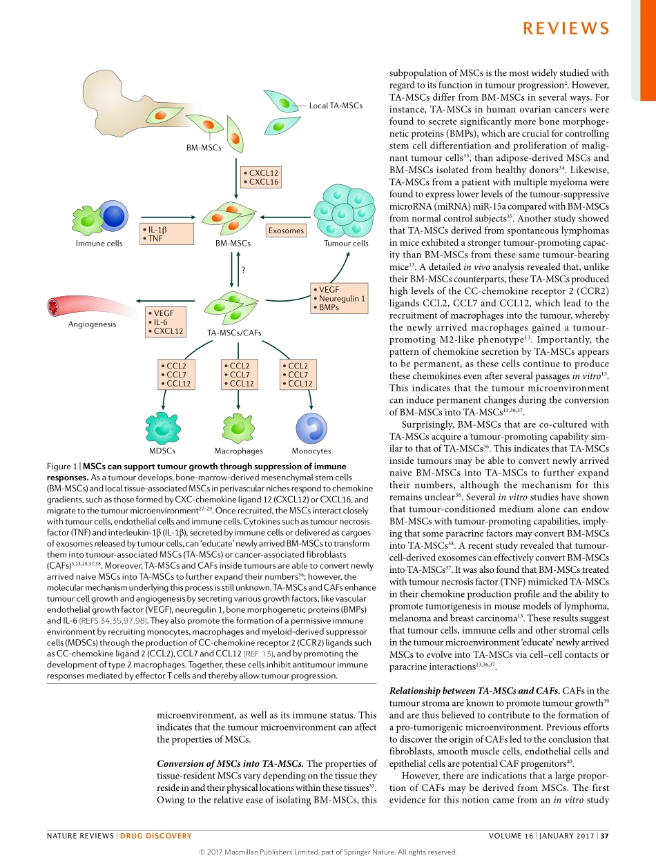 Shi-2017-Tumour-associated mesenchymal stem_st.pdf_第3页