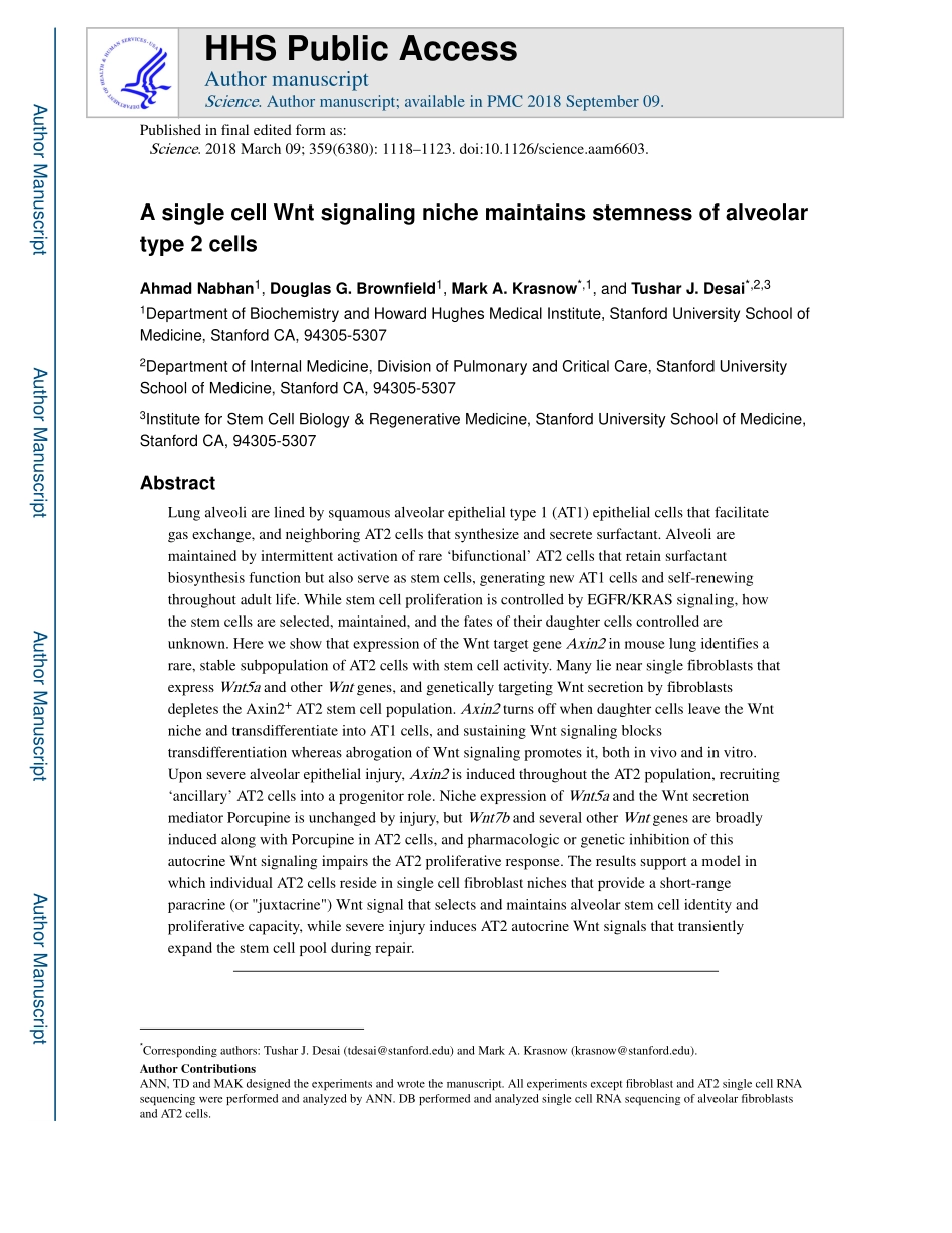 Science. 2018 单细胞Wnt信号通路维持肺泡II型细胞的干性.pdf_第1页