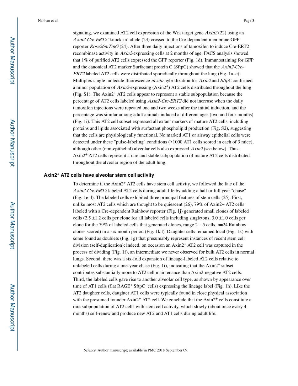 Science. 2018 单细胞Wnt信号通路维持肺泡II型细胞的干性.pdf_第3页