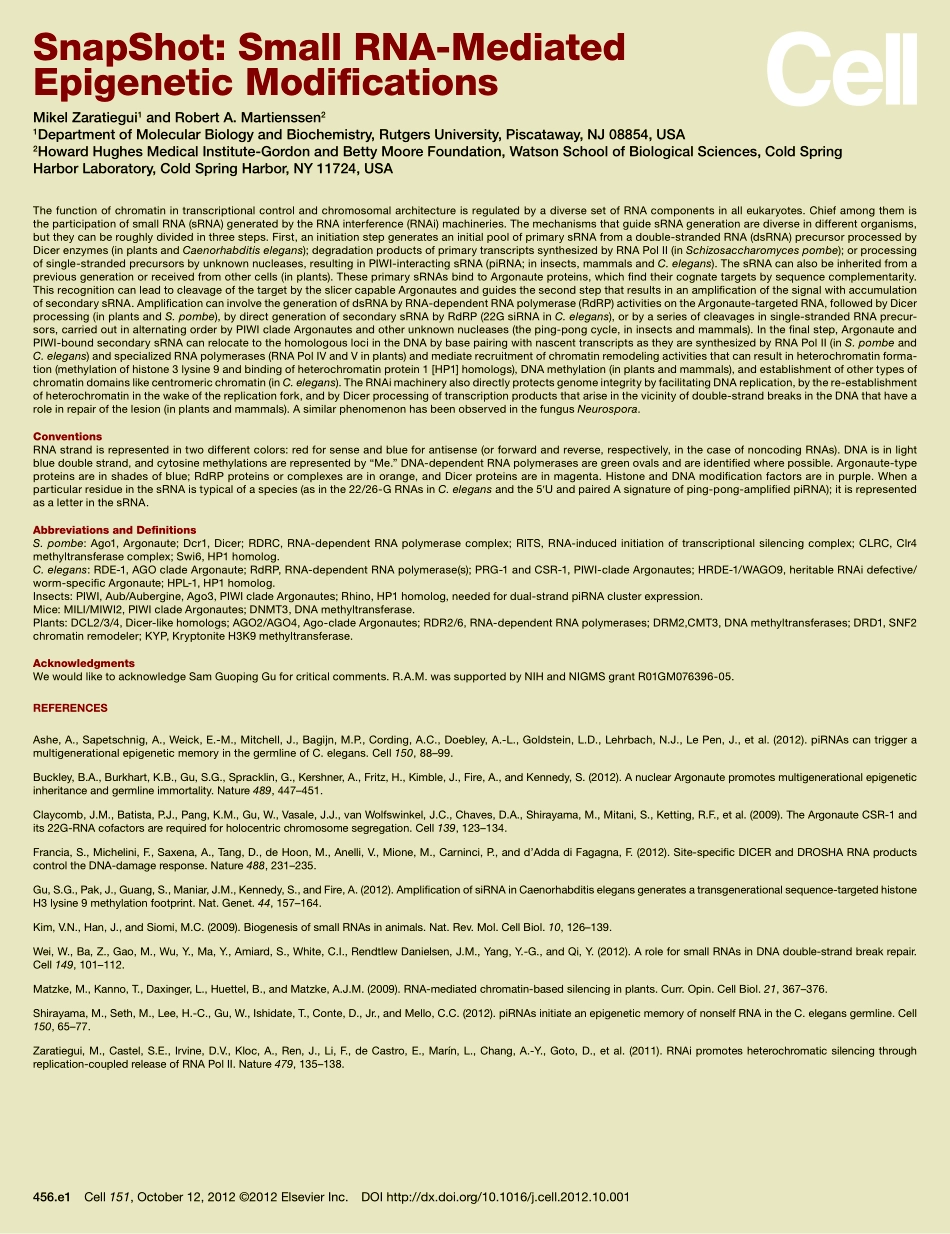 Small RNA-Mediated Epigenetic Modifications 2.pdf_第2页