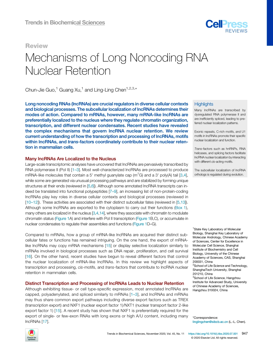 Mechanisms of Long Nocoding RNA Nuclear Retent.pdf_第1页
