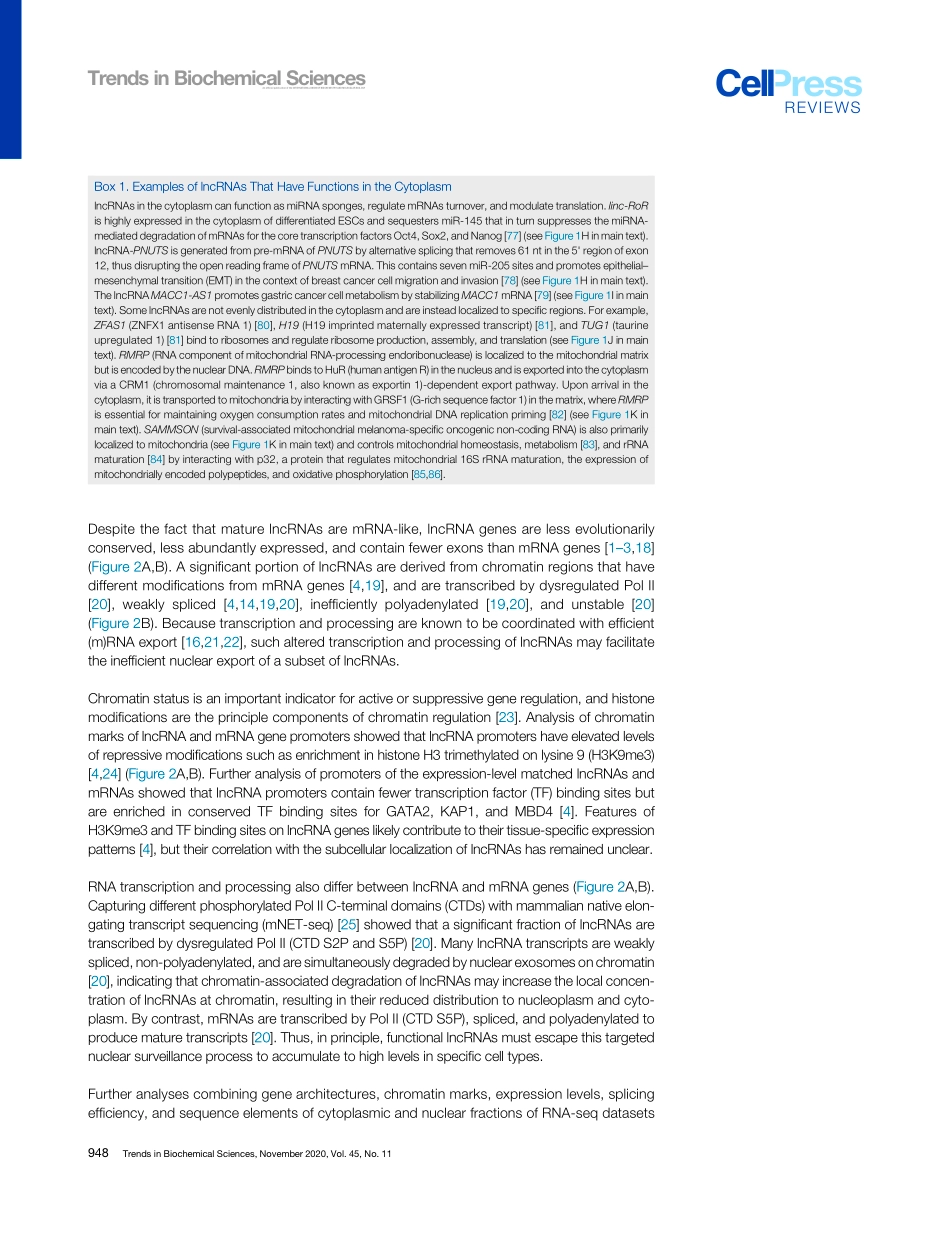 Mechanisms of Long Nocoding RNA Nuclear Retent.pdf_第2页