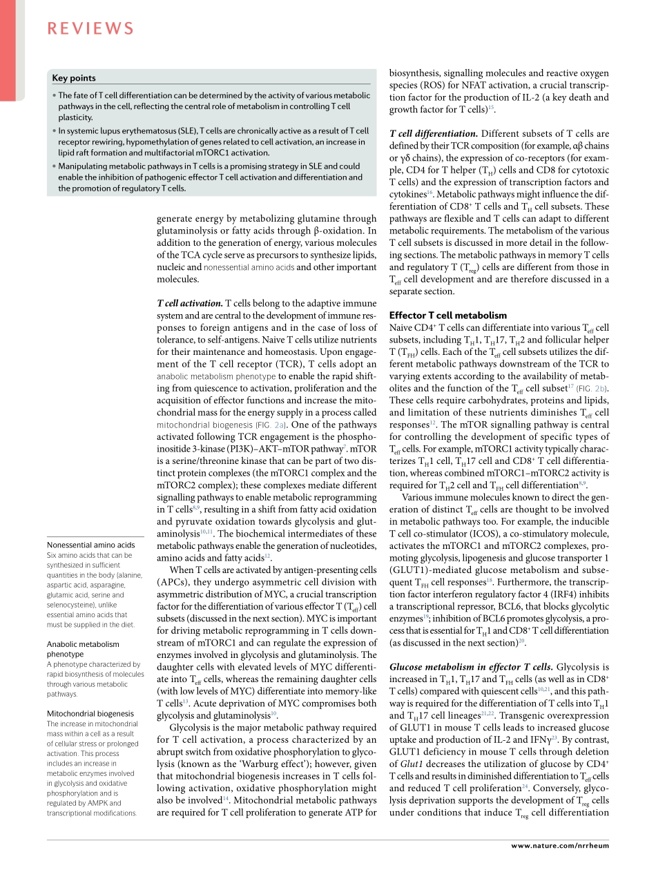 T cell metabolism new insights in systemic lup.pdf_第2页