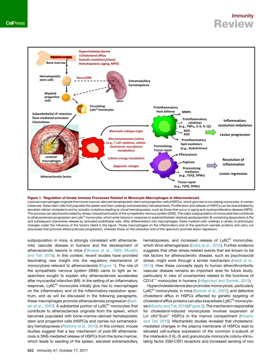 Tabas-2017-Monocyte-Macrophages and T Cells in.pdf_第2页