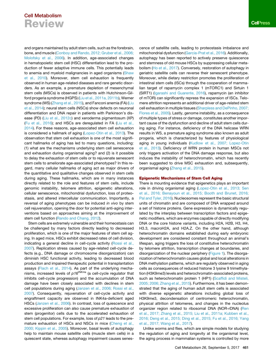 Regulation of Stem Cell Aging by Metabolism and Epigenetics.pdf_第2页