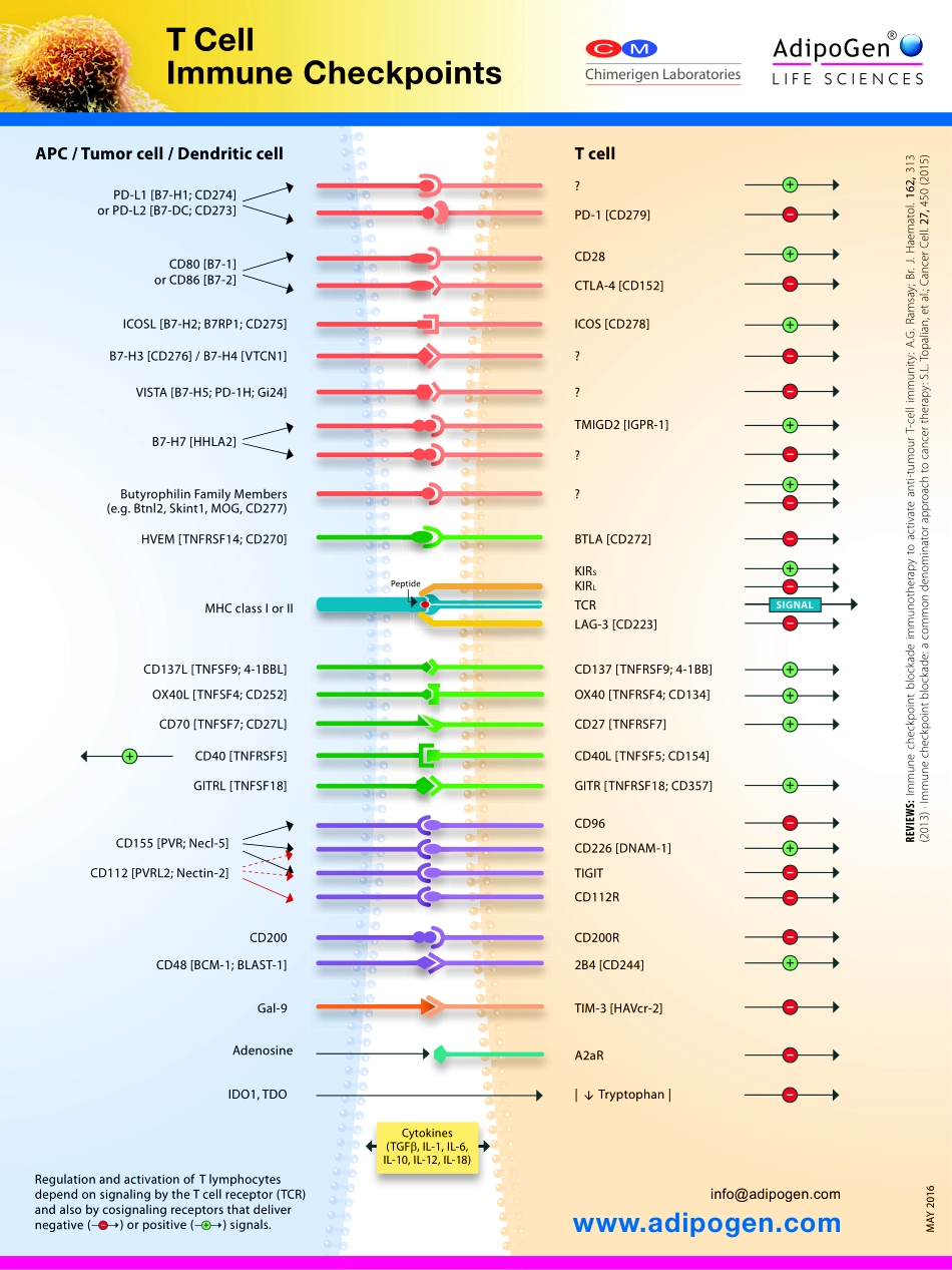 TCell_Immune_Checkpoints_2016_210_x_280mm_FINAL_lowres.pdf_第1页