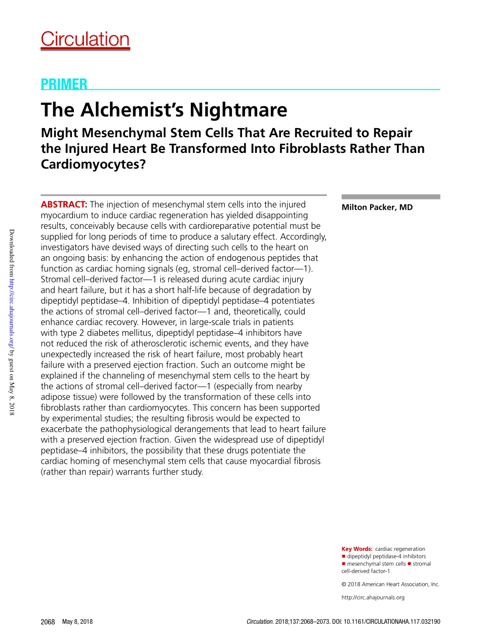 The Alchemist's Nightmare Might Mesenchymal St.pdf_第1页