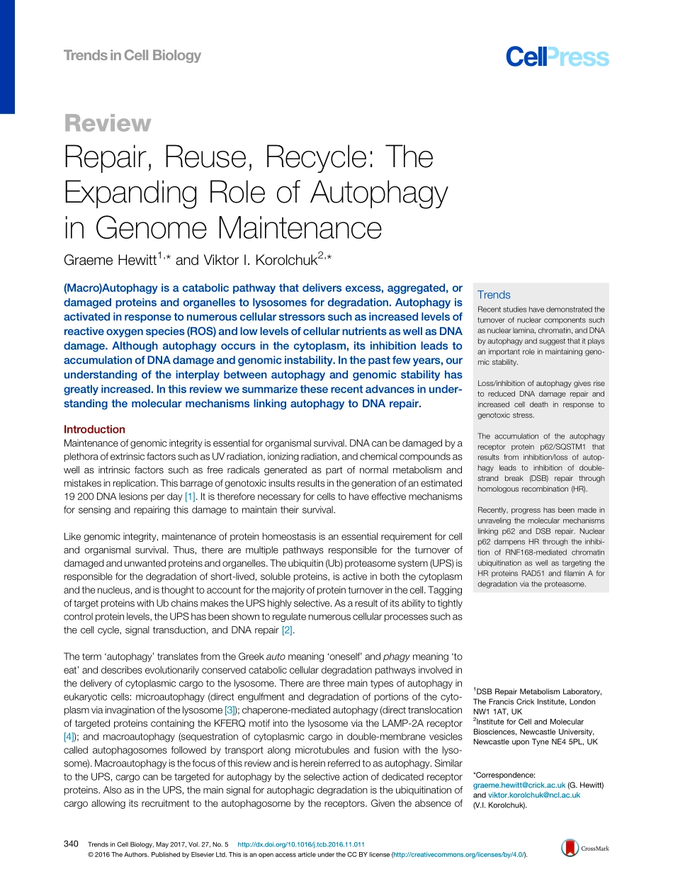 Repair, Reuse, Recycle-The Expanding Role of Autophagy in Genome Maintenance.pdf_第1页