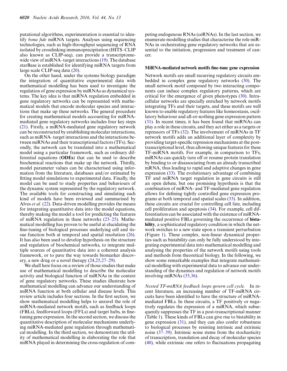 Understanding microRNA-mediated gene regulatory networks through mathematical modelling.pdf_第2页