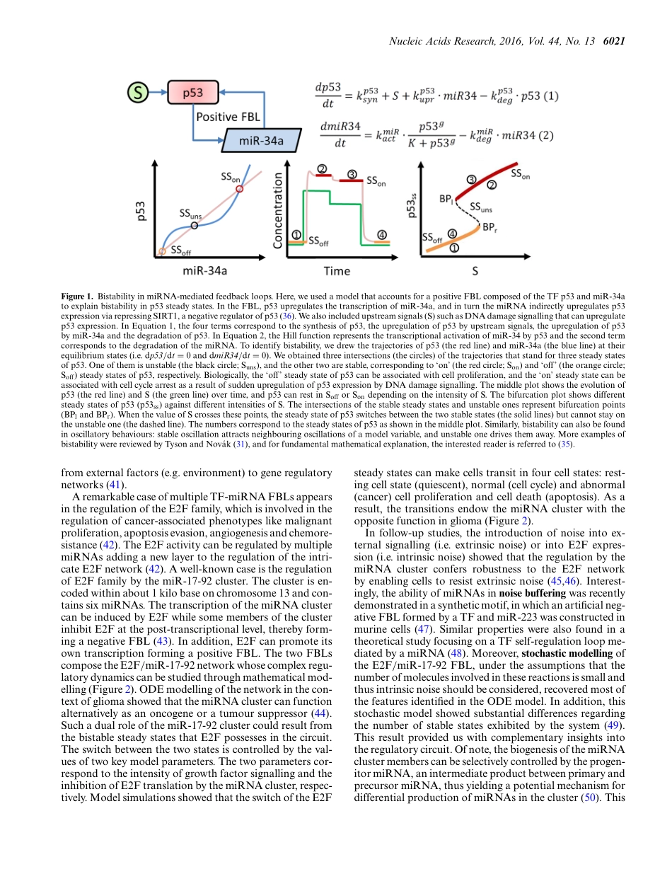Understanding microRNA-mediated gene regulatory networks through mathematical modelling.pdf_第3页