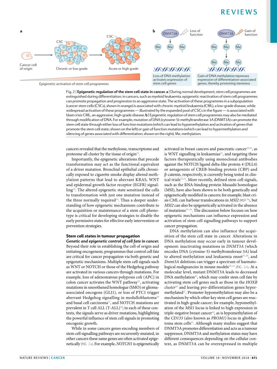 Lytle-2018-Stem cell fate in cancer growth, pr.pdf_第3页