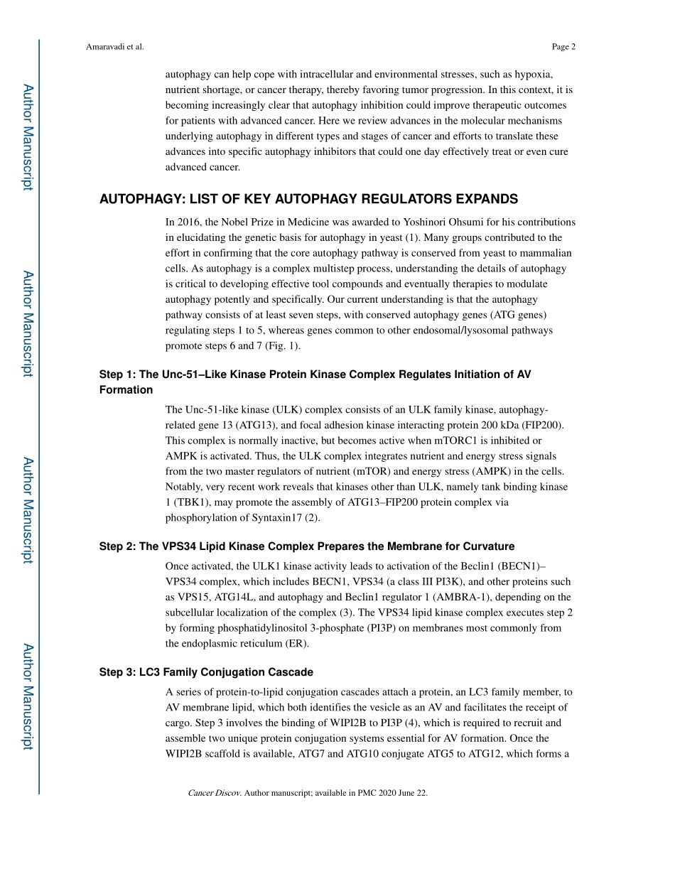 Targeting Autophagy in Cancer Recent Advances.pdf_第2页