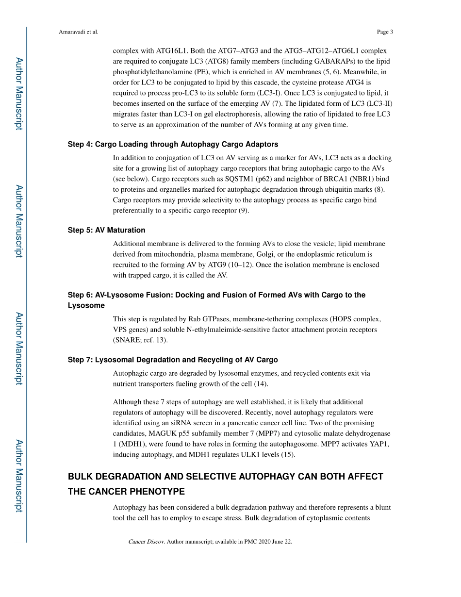 Targeting Autophagy in Cancer Recent Advances.pdf_第3页