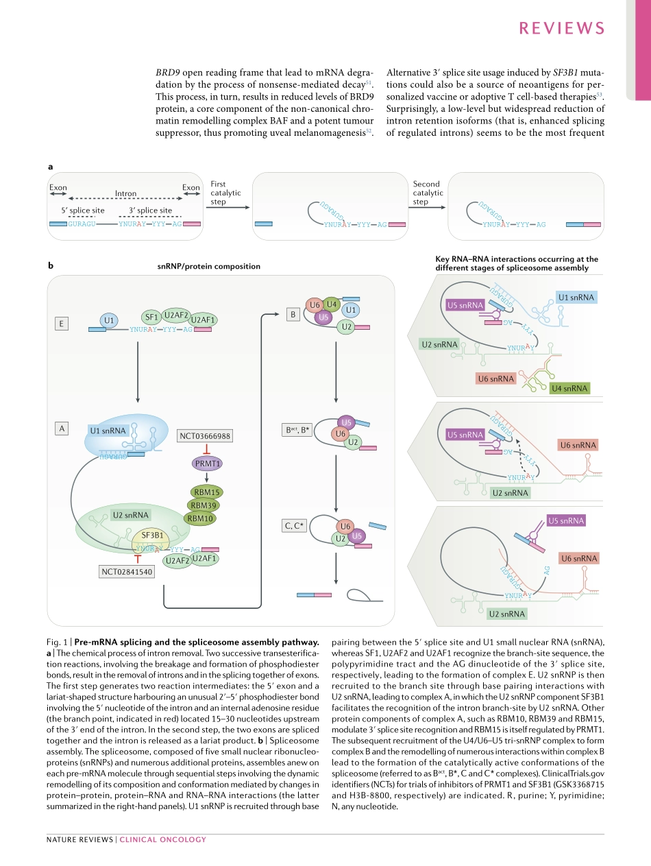Roles and mechanisms of alternative splicing i.pdf_第3页
