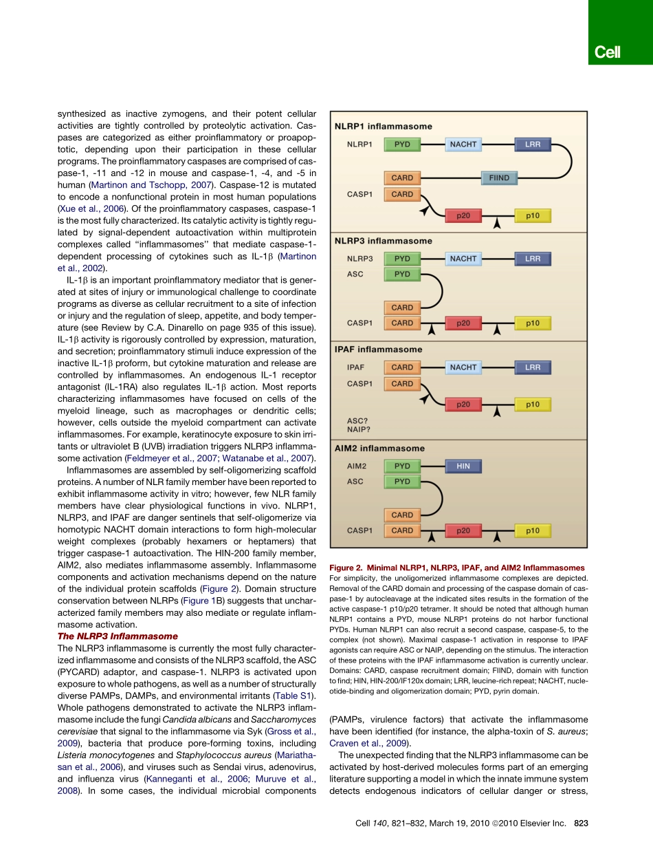 The Inflammasomes.pdf_第3页