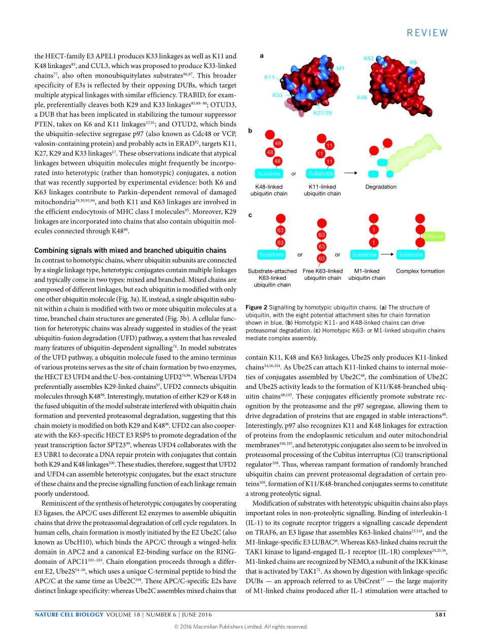 The increasing complexity of the ubiquitin code.pdf_第3页