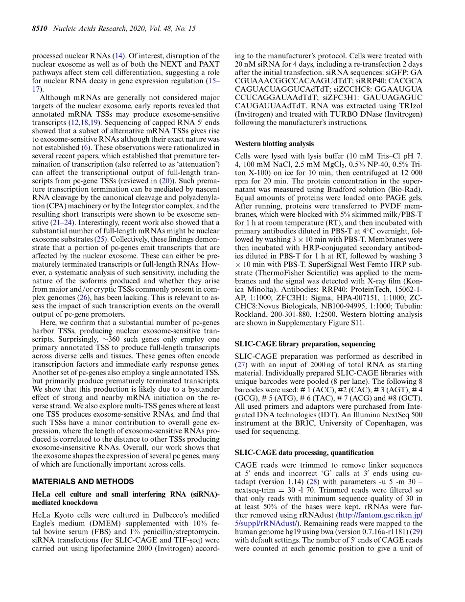 The RNA exosome shapes the expression of key p.pdf_第2页