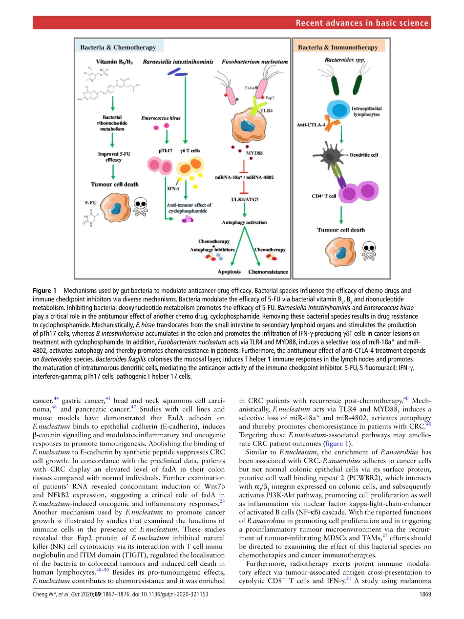 The role of gut microbiota in cancer treatment.pdf_第3页