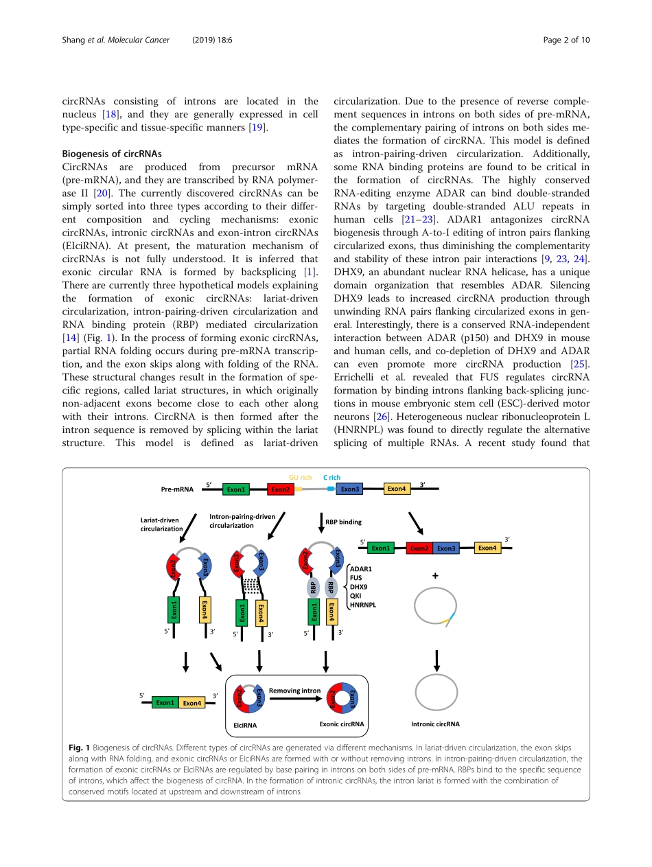 The novel roles of circRNAs in human cancer .pdf_第2页