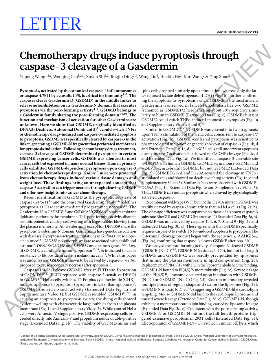 nature 2017化疗药物通过casNature 2017 pase-3裂解Gasdermin诱导pyroptosis.pdf_第2页