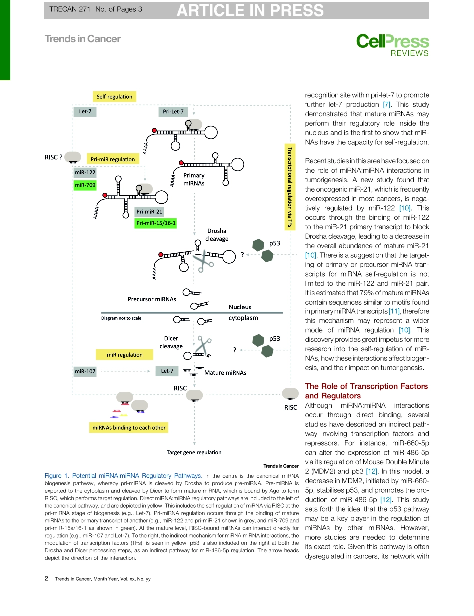 MicroRNAs Regulating MicroRNAs in Cancer .pdf_第2页