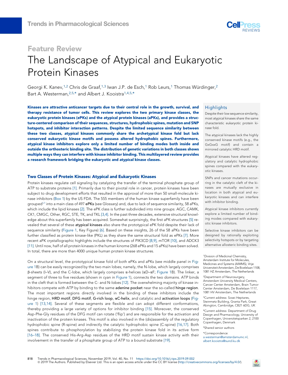 The Landscape of Atypical and Eukaryotic Prote.pdf_第1页