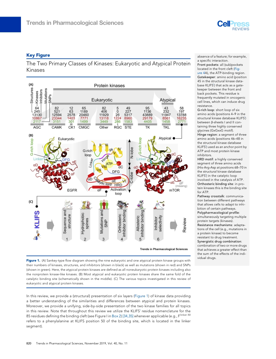 The Landscape of Atypical and Eukaryotic Prote.pdf_第3页