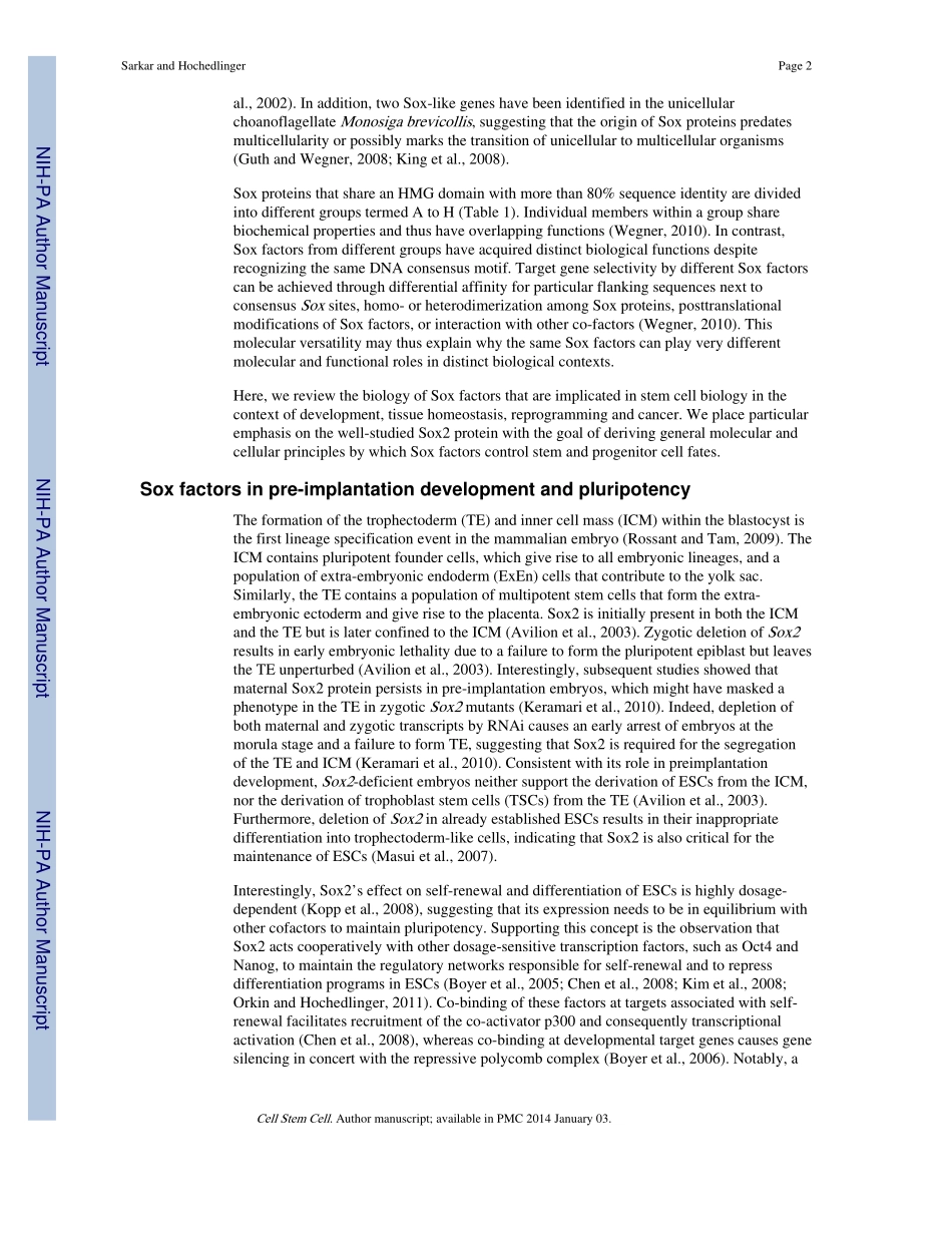 The Sox Family of Transcription Factors-Versatile Regulators of Stem and Progenitor Cell Fate.pdf_第2页