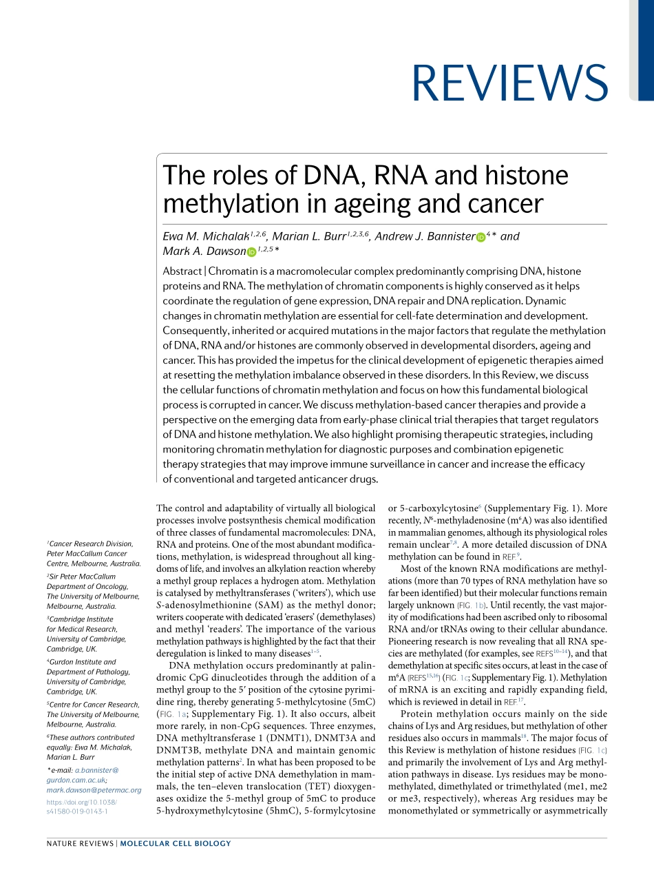 The roles of DNA, RNA and histone methylation.pdf_第1页