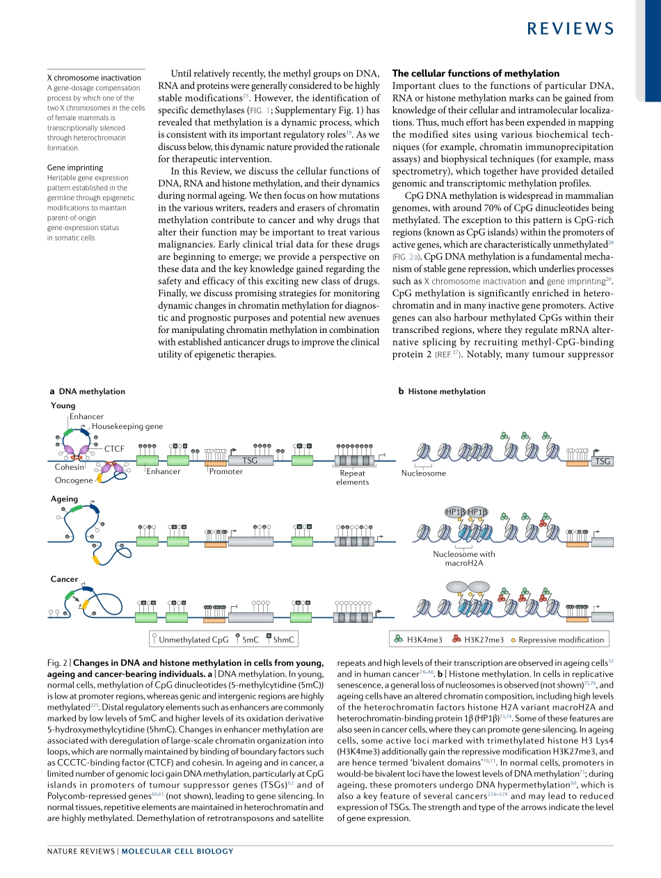 The roles of DNA, RNA and histone methylation.pdf_第3页