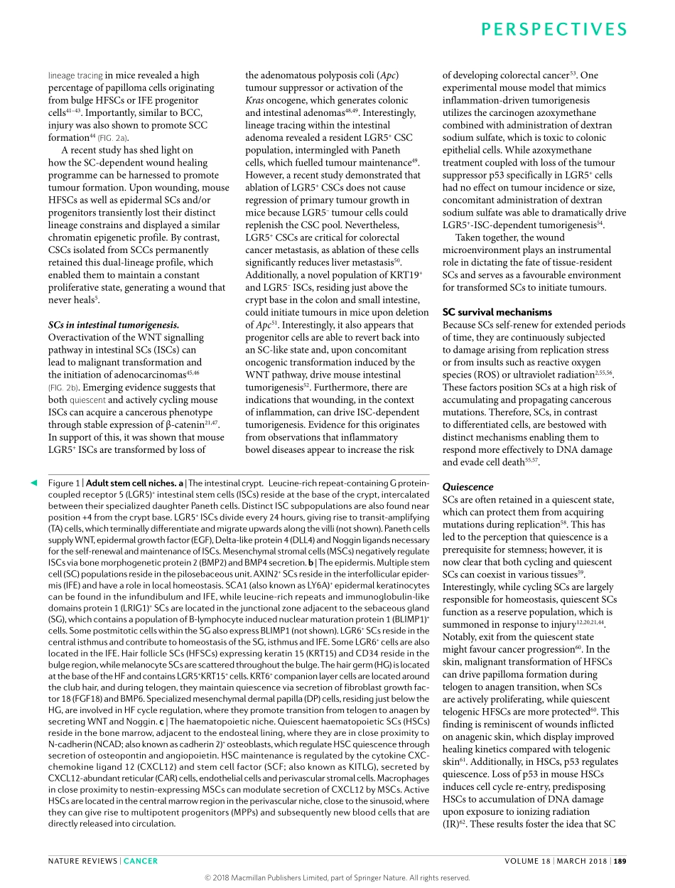 Soteriou-2018-A matter of life and death_ stem.pdf_第3页