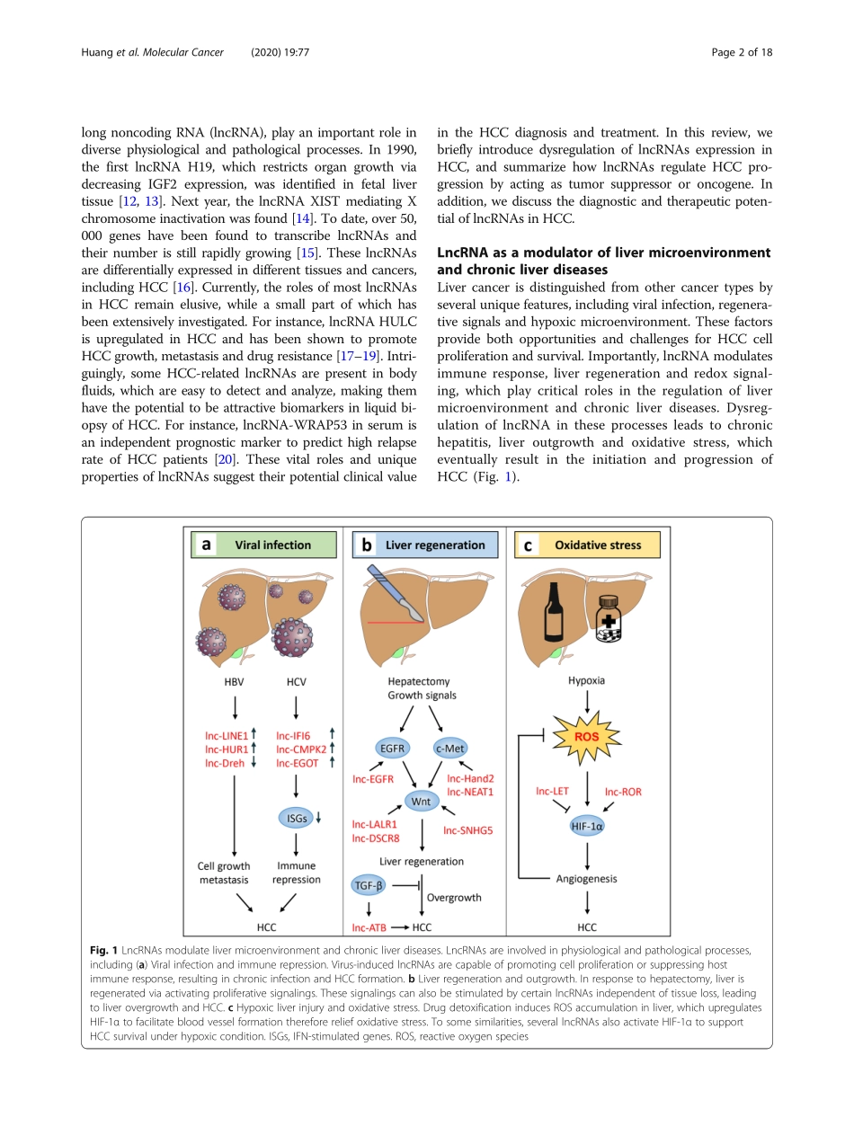 The role of long noncoding RNAs in hepatocellu.pdf_第2页