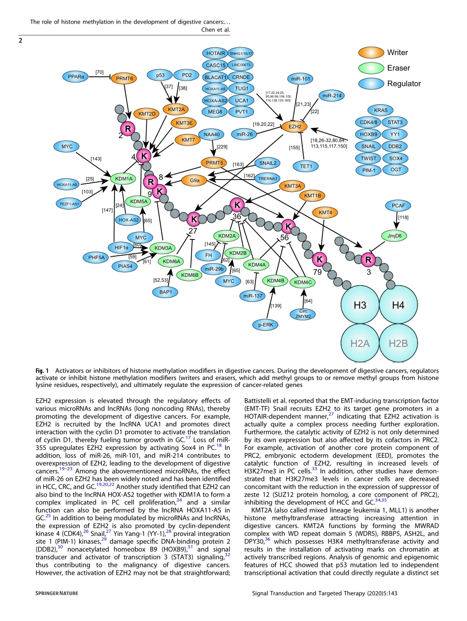 The role of histone methylation in the develop.pdf_第2页