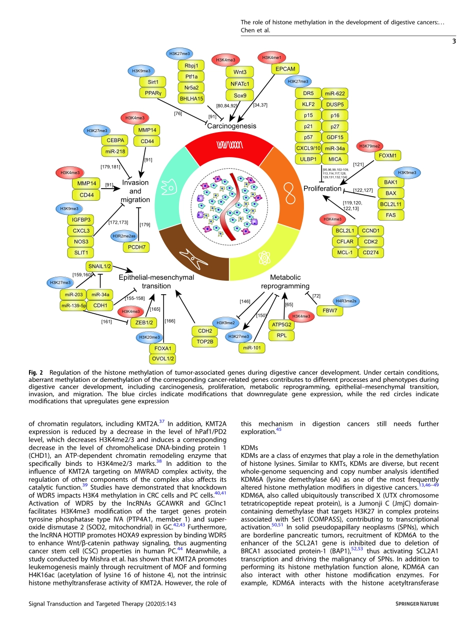 The role of histone methylation in the develop.pdf_第3页