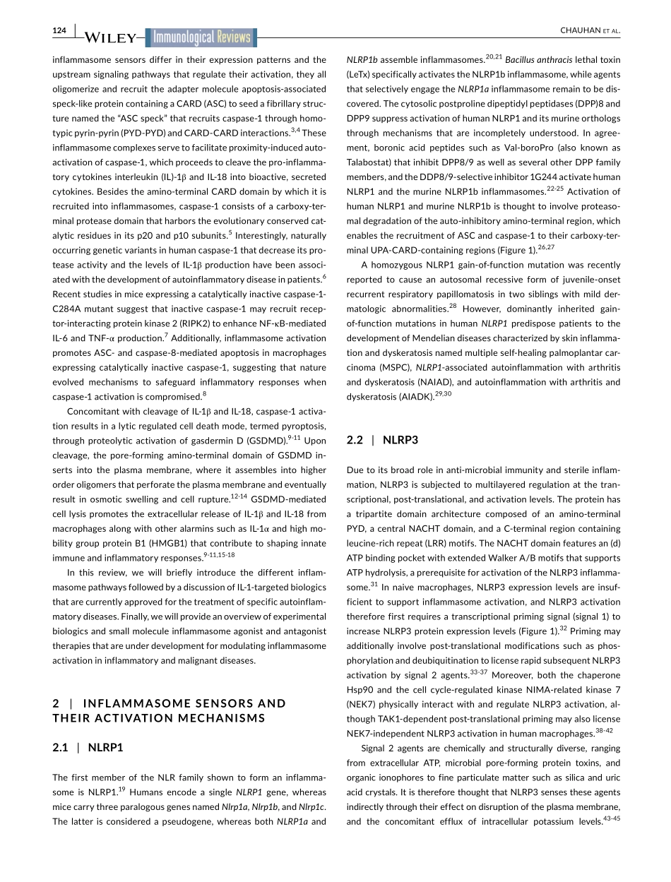 Therapeutic modulation of inflammasome pathway.pdf_第2页