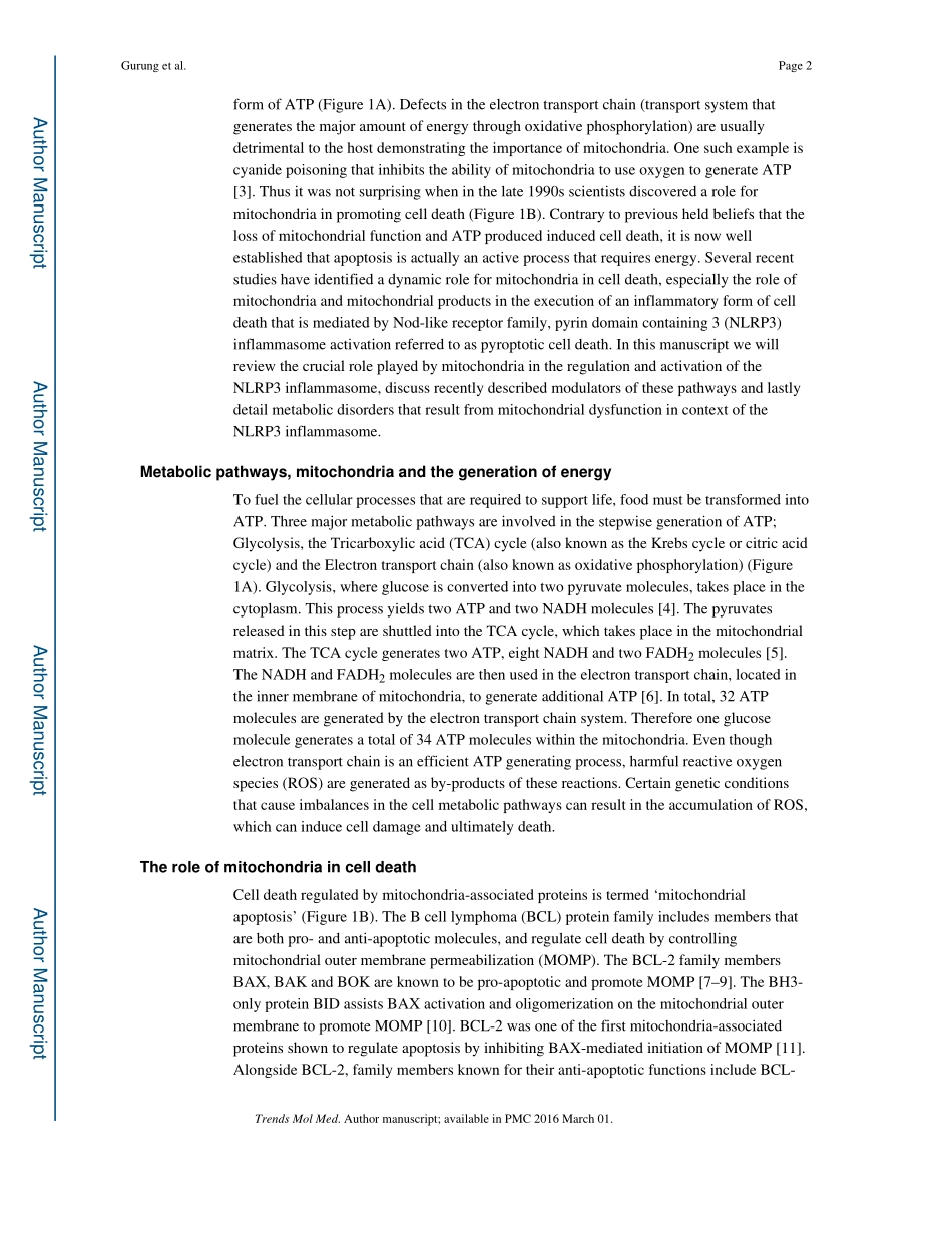 Mitochondria- Diversity in the regulation of NLRP3 inflammasome.pdf_第2页