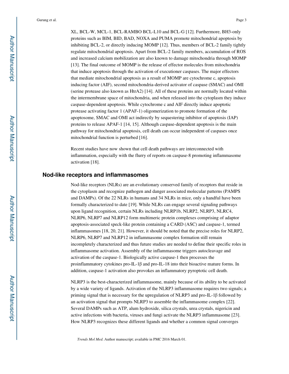 Mitochondria- Diversity in the regulation of NLRP3 inflammasome.pdf_第3页