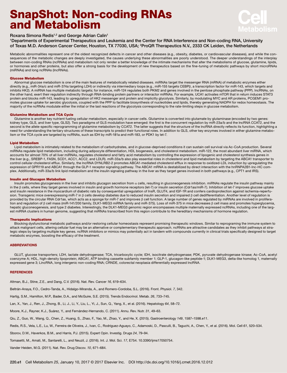 Non-coding RNAs and Metabolism.pdf_第2页