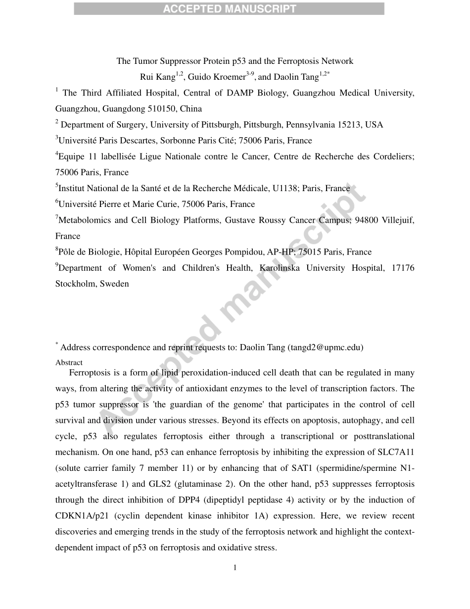The Tumor Suppressor Protein p53 and the.pdf_第2页
