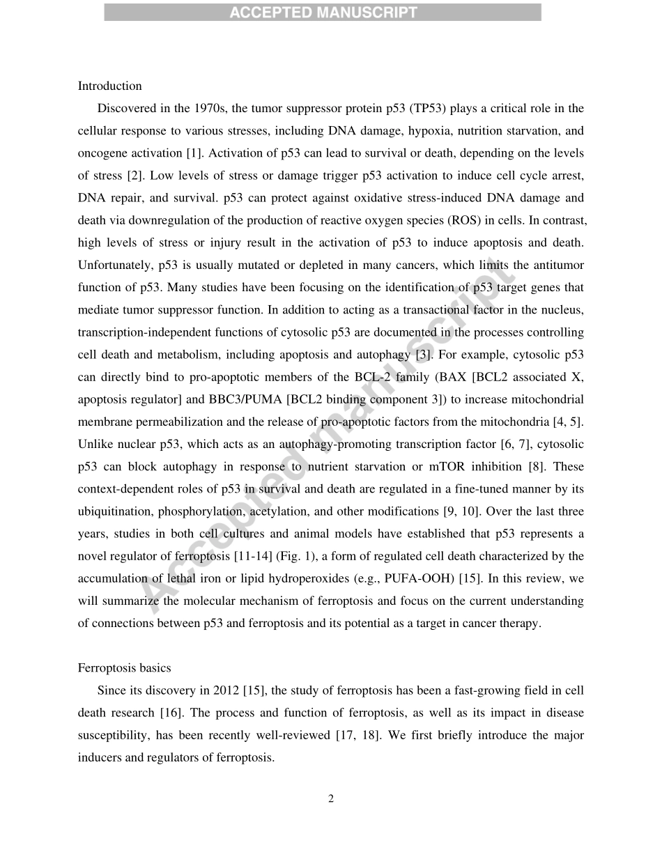 The Tumor Suppressor Protein p53 and the.pdf_第3页