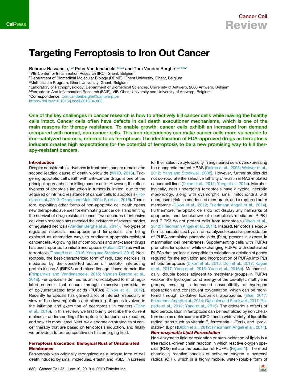 Targeting Ferroptosis to Iron Out Cancer.pdf_第1页