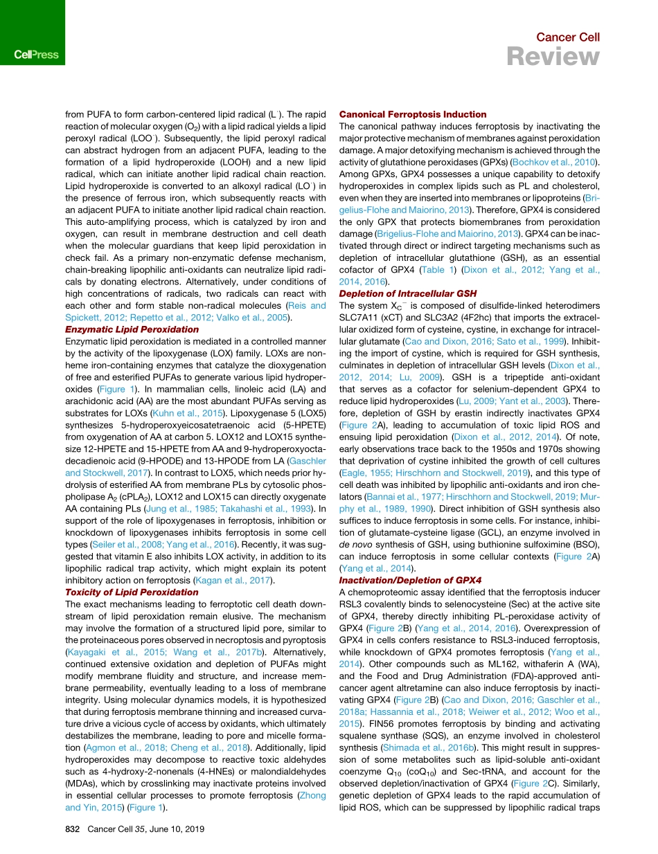 Targeting Ferroptosis to Iron Out Cancer.pdf_第3页