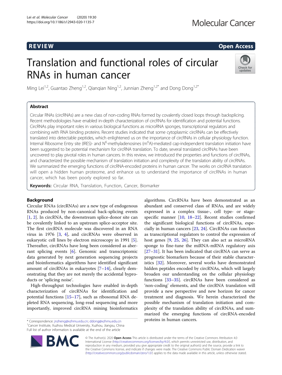 Translation and functional roles of circular R.pdf_第1页
