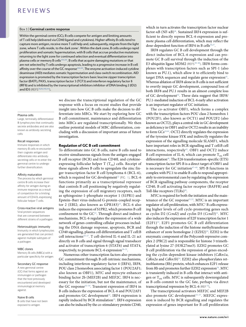 Transcriptional regulation of memory B cell di.pdf_第2页