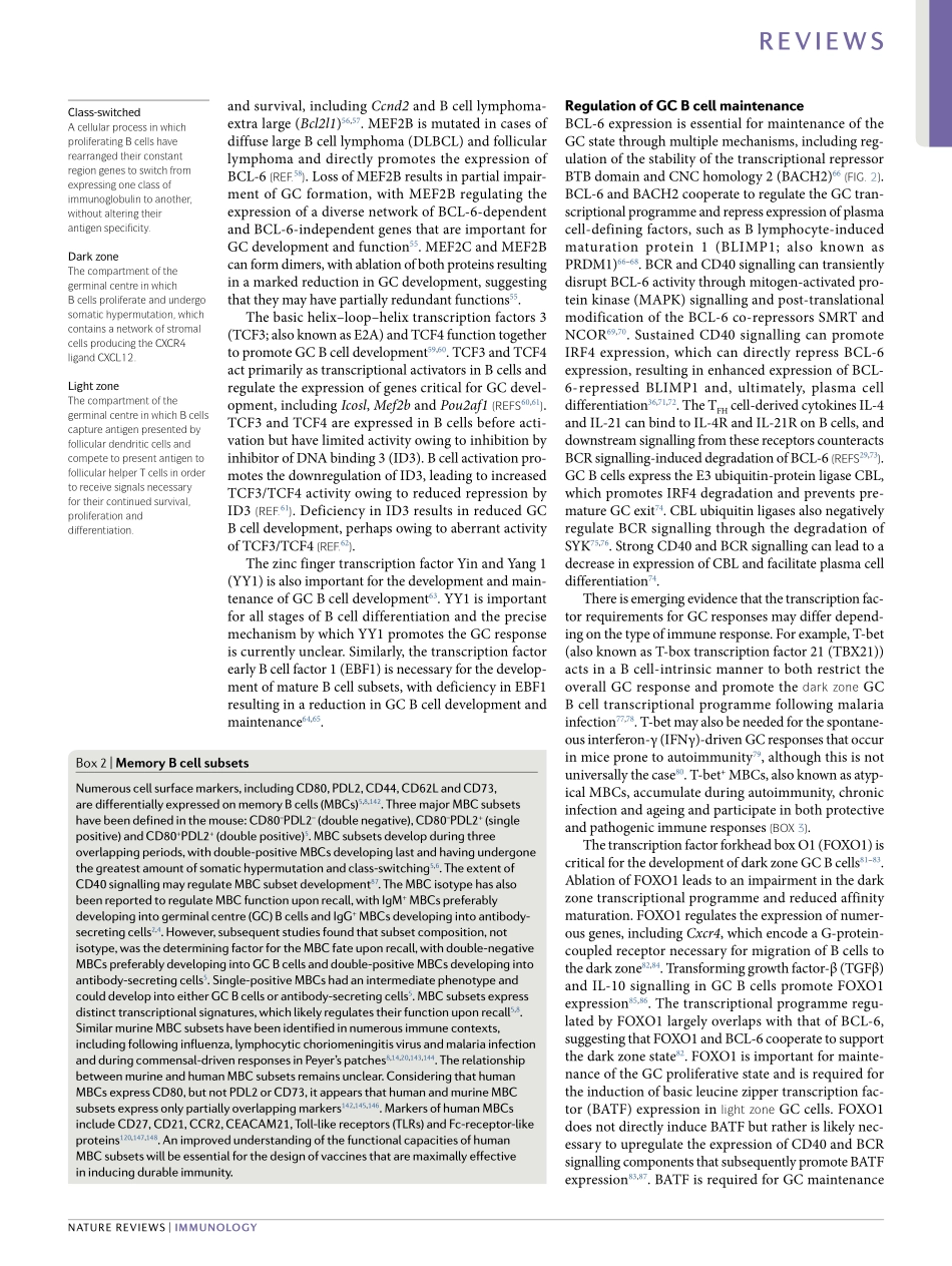 Transcriptional regulation of memory B cell di.pdf_第3页
