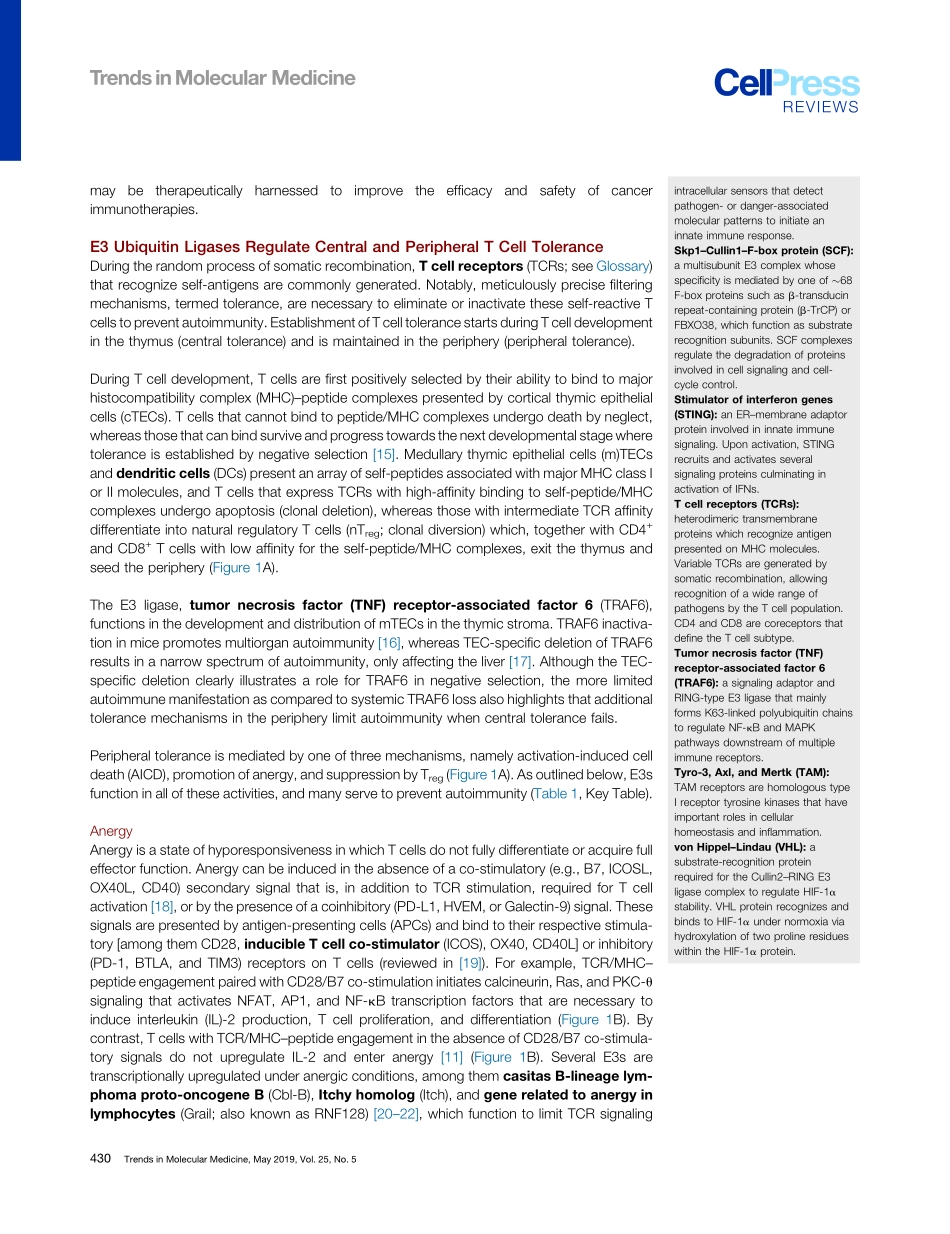 Ubiquitin Ligases in Cancer Immunotherapy – Ba.pdf_第3页