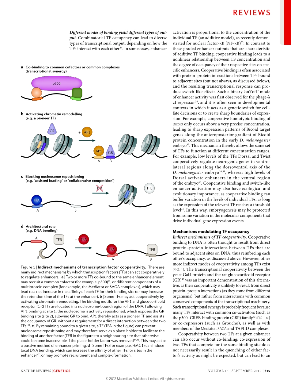 Transcription factors-from enhancer binding to developmental control.pdf_第3页